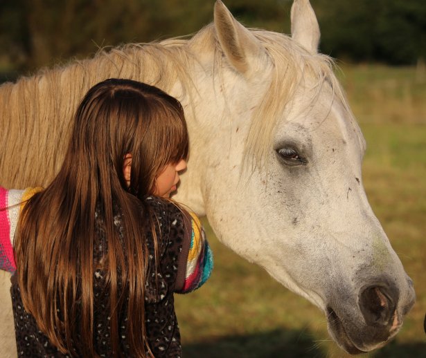 herghelia mangaliacepoivizitanvacanaallinclusivenromaniacucazarepelitora herghelia mangaliacepoivizitanvacanaallinclusivenromaniacucazarepelitora