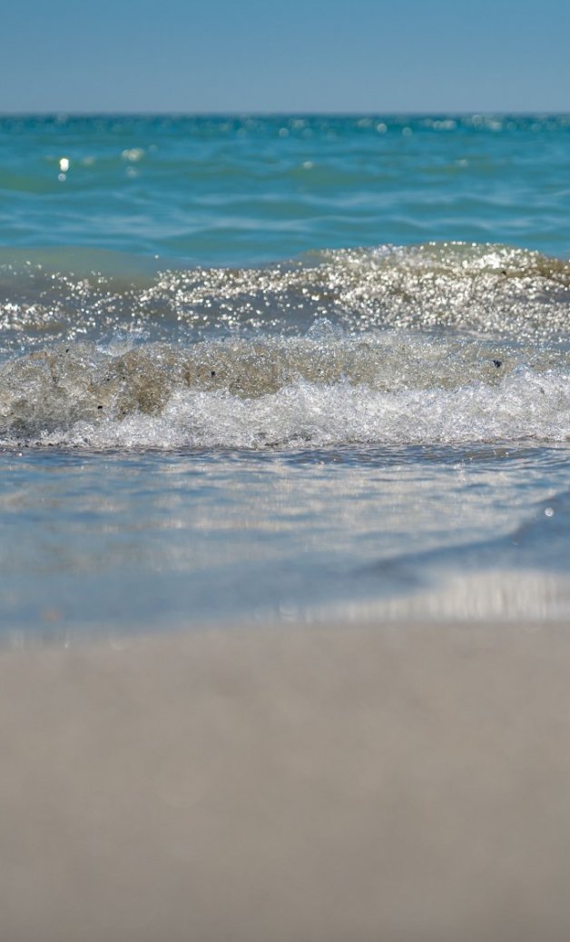 plajavenus cunispfi plajavenus cunispfi