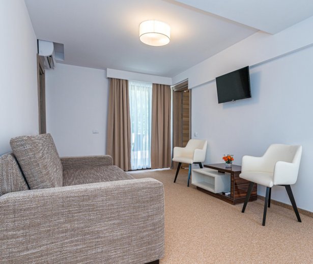 livingAP3MeraVilla livingAP3MeraVilla