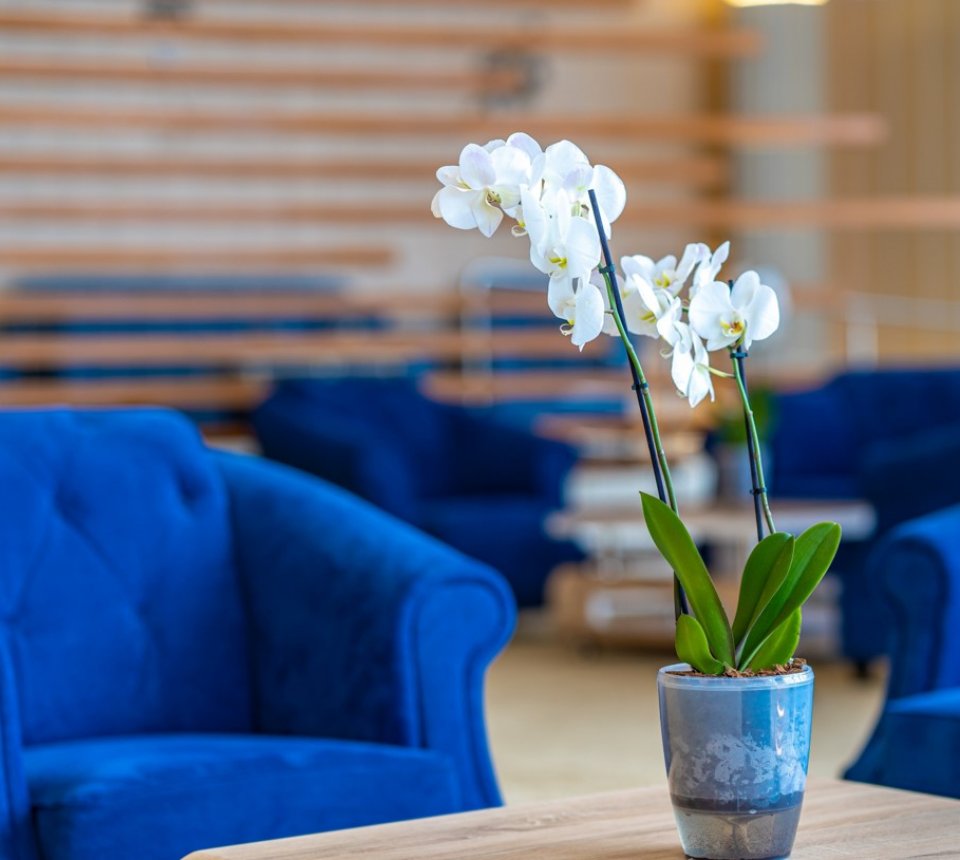 internet receptieoni internet receptieoni