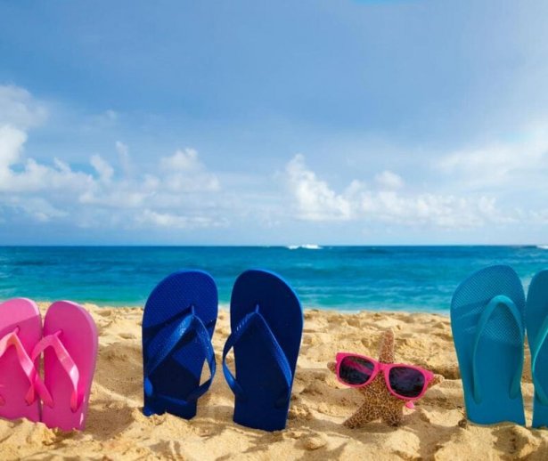 Slapiisiochelariidesoar Slapiisiochelariidesoar