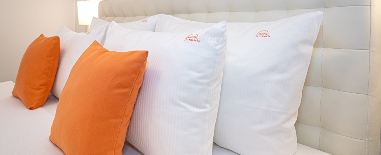 detaliucameradublavil detaliucameradublavil