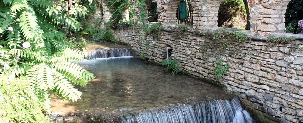 ParauinOraulBalci ParauinOraulBalci