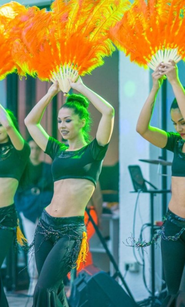 organizareauneipetreceripelitora organizareauneipetreceripelitora