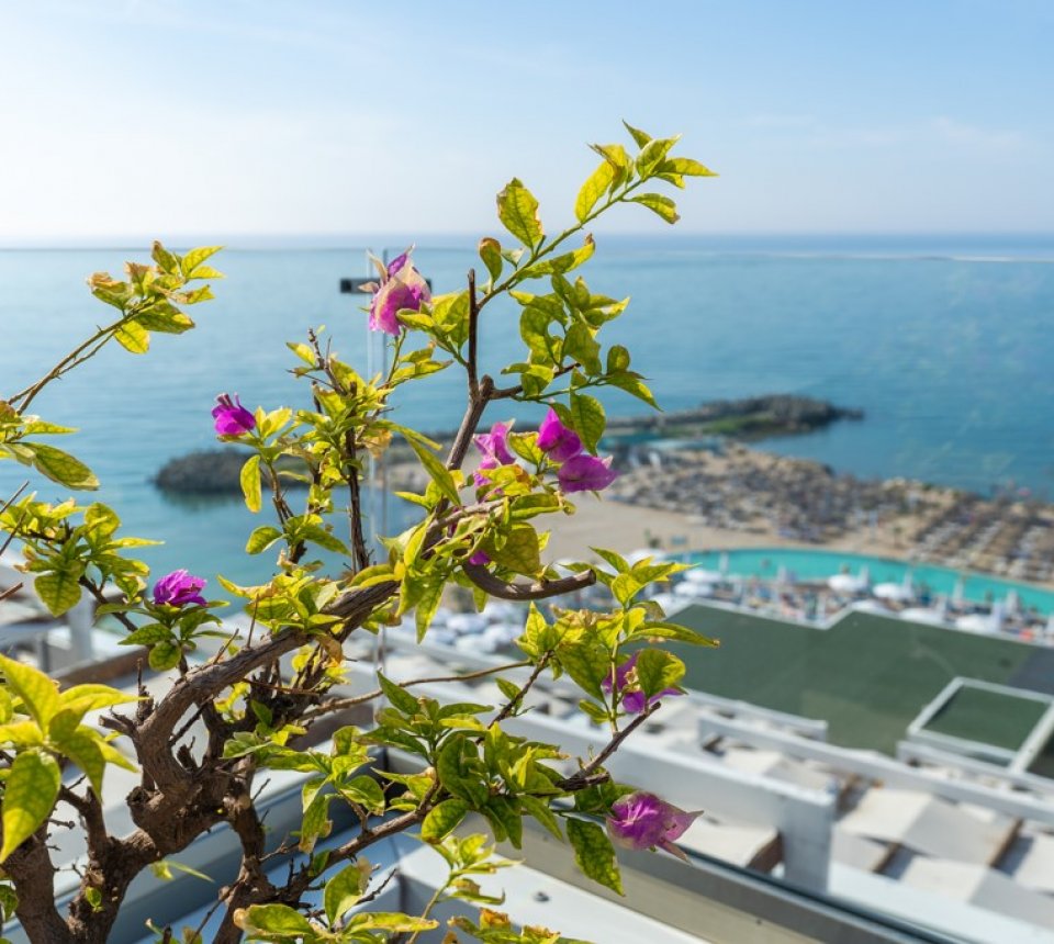 terasacuvederelamar terasacuvederelamar