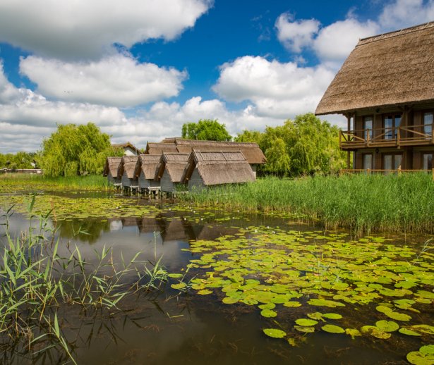 cazareindeltadunari cazareindeltadunari