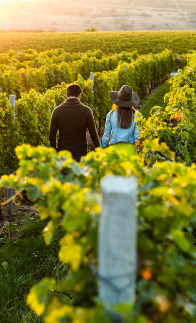 cupluinpodgori cupluinpodgori