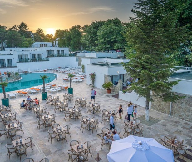 meravillasvenustera meravillasvenustera