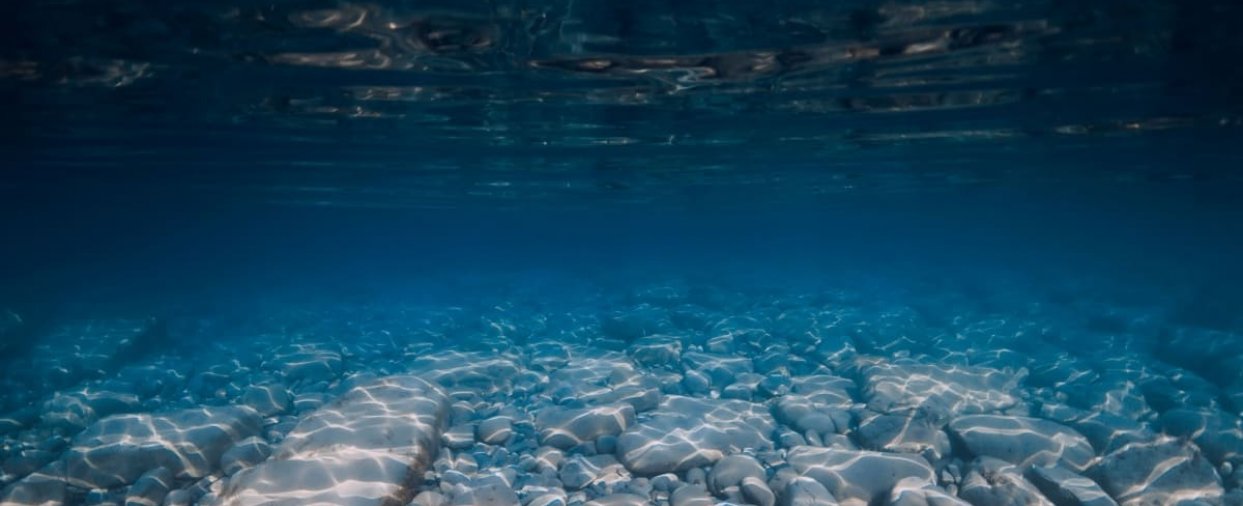 stancivechimareaneagr stancivechimareaneagr