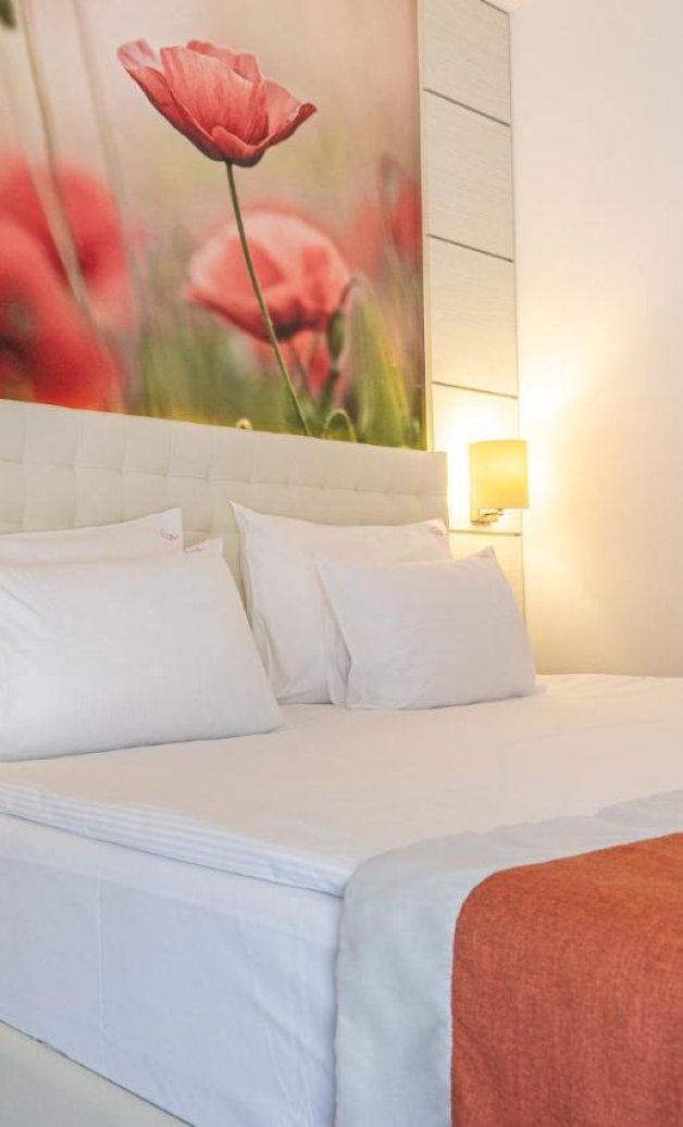 MeraBriseHotelMangaliaRoo MeraBriseHotelMangaliaRoo