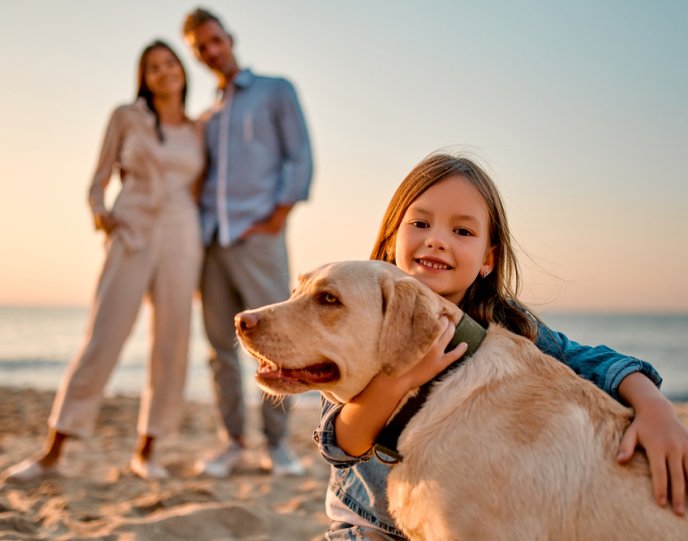 familiecucopilulsicainilelaplaj familiecucopilulsicainilelaplaj