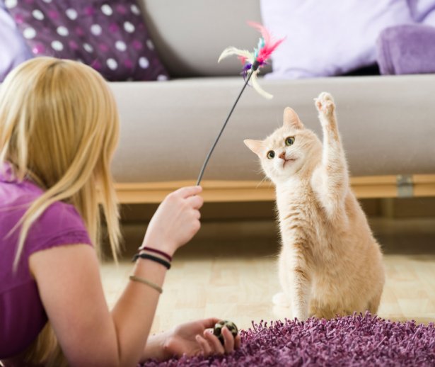 femeiecaresejoacacupisic