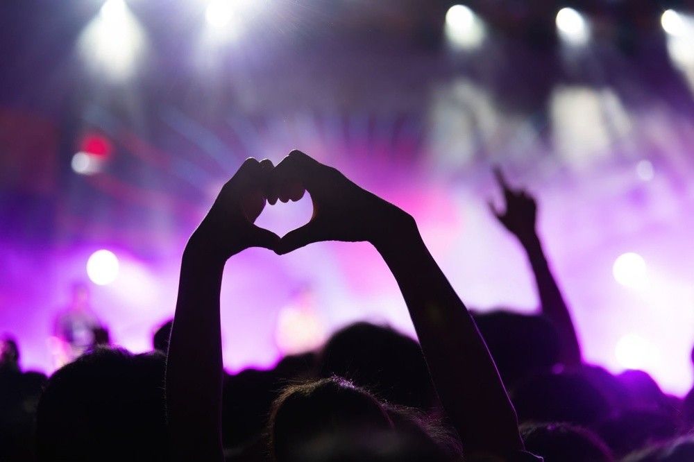 persoana care participa la un concert seara