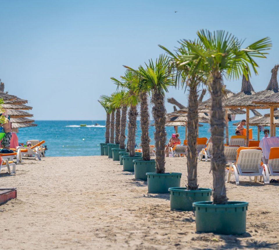 Palmieri pe plaja privata, la Mera Hotels