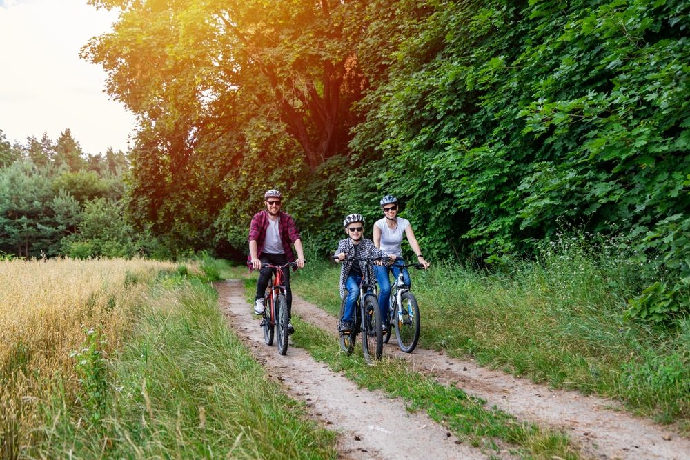 Plimbare cu bicicletele in padure